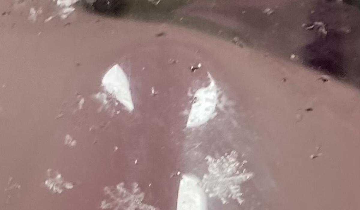 Coura, Ana Cristina. (2022). Slowing Down. Photography. Coura, Ana Cristina. (2022). Slowing Down. Photography.